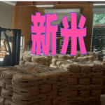 10050