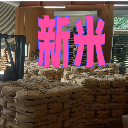 10050